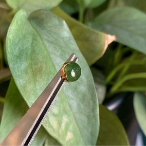 14g 6mm Anatometal genuine Jade cabochon internally-threaded titanium end